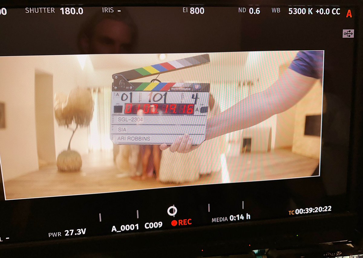 Sia's tweet photo. Counting down the days until the "Gimme Love" music video comes out... ⏱️ - Team Sia https://t.co/FzsHYW3sSA