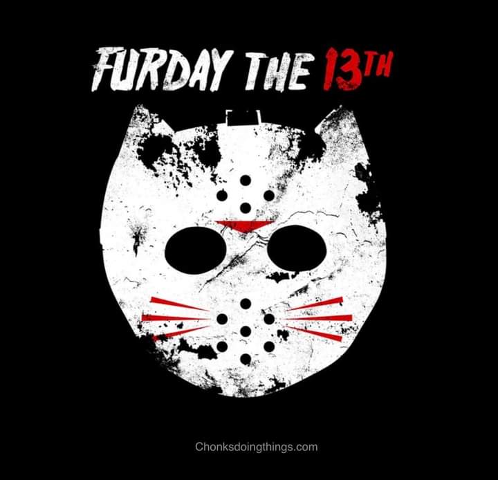MelishaScr88653's tweet image. 🔪Happy Friday The 13th🔪
#pizzacat