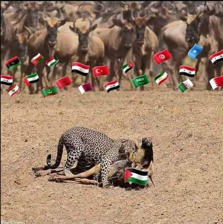 للأسف ده واقعنا ووضعنا الحالي