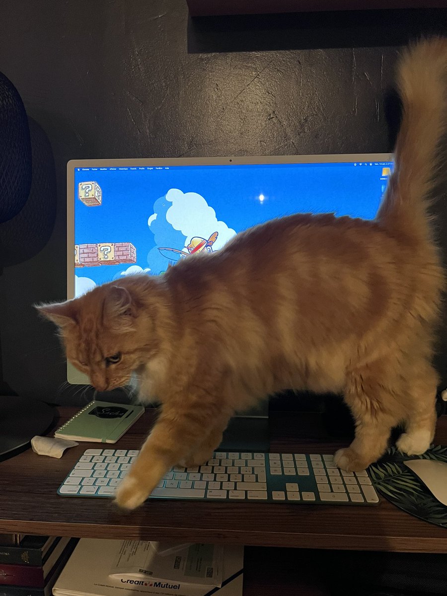 Nan mais oui bien sûr fais ta vie !😅