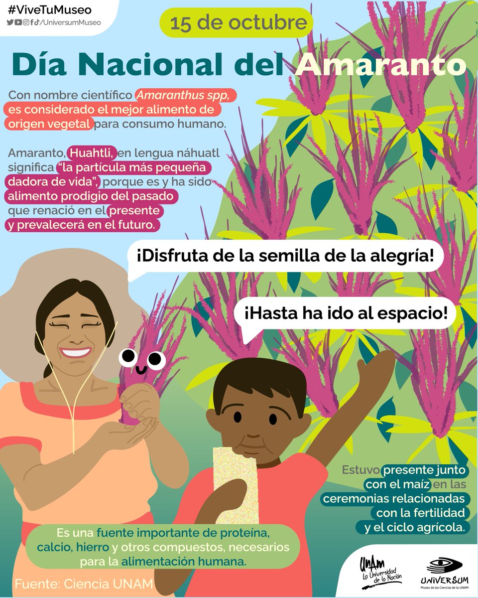 #UnDíaComoHoy es el Día Nacional del Amaranto 🥳

El cereal de la alegría 🥰😊

#VveTuMuseo