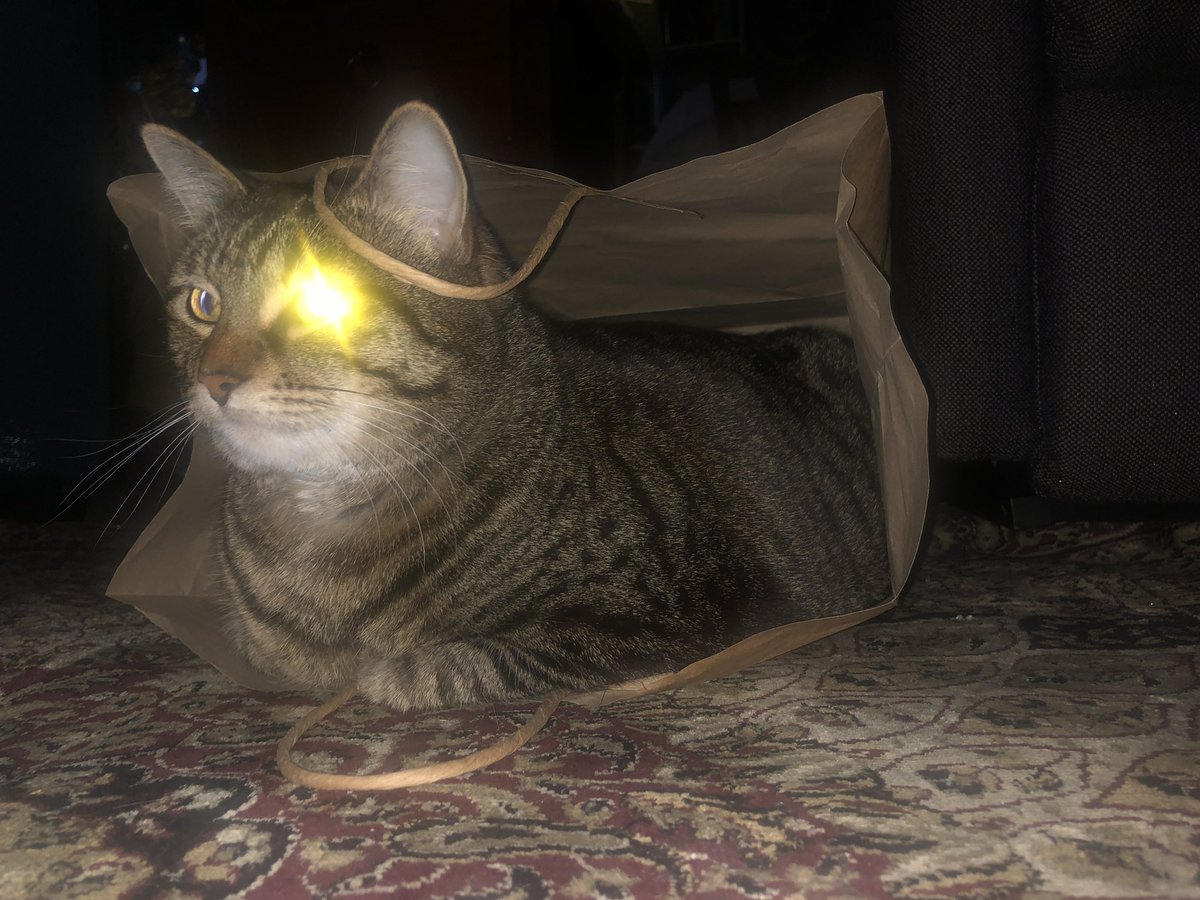 Kate Pearce tweet media