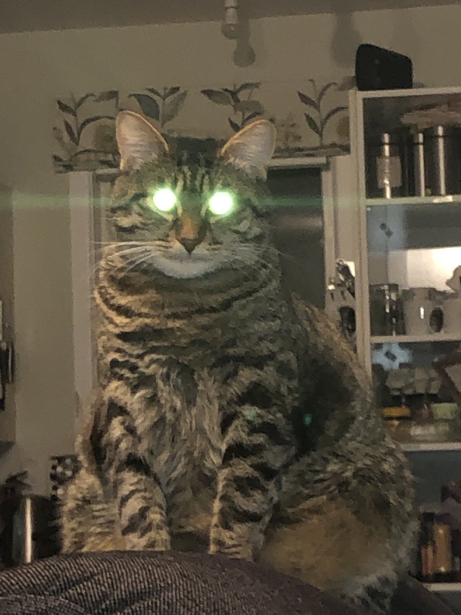 Kate Pearce tweet media