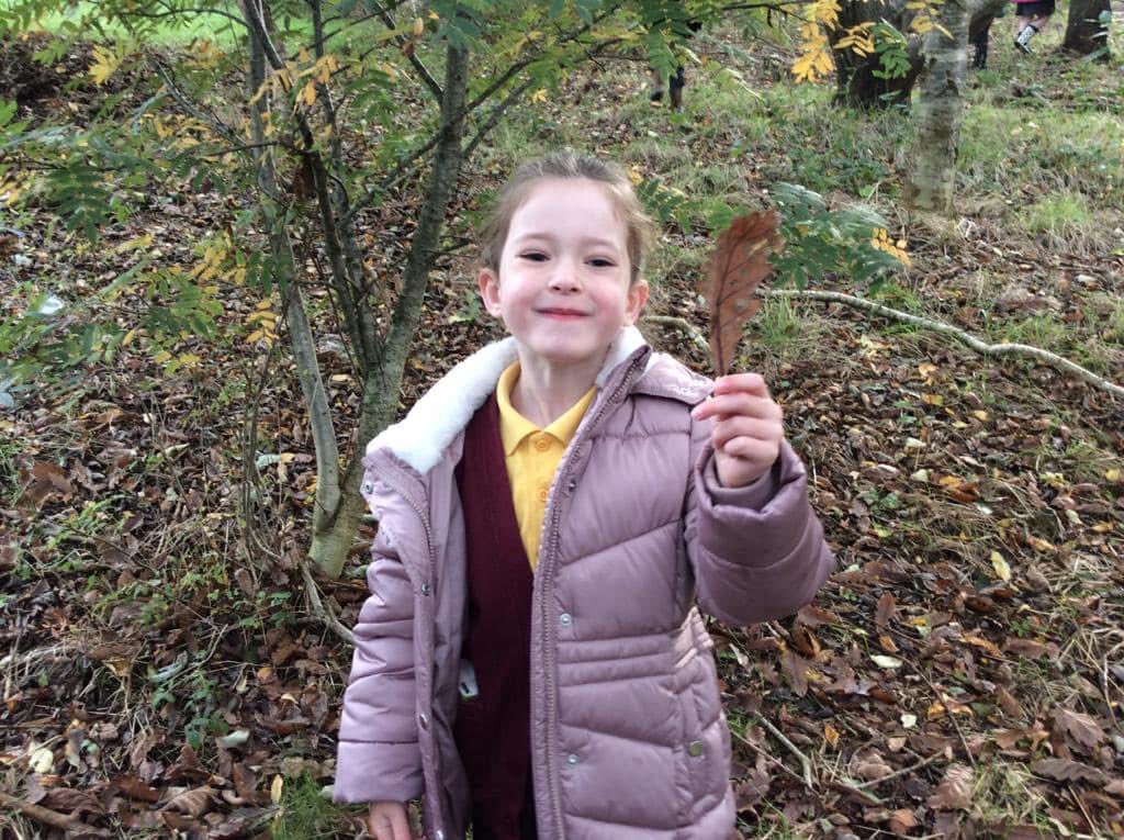 Millburn Primary School tweet media