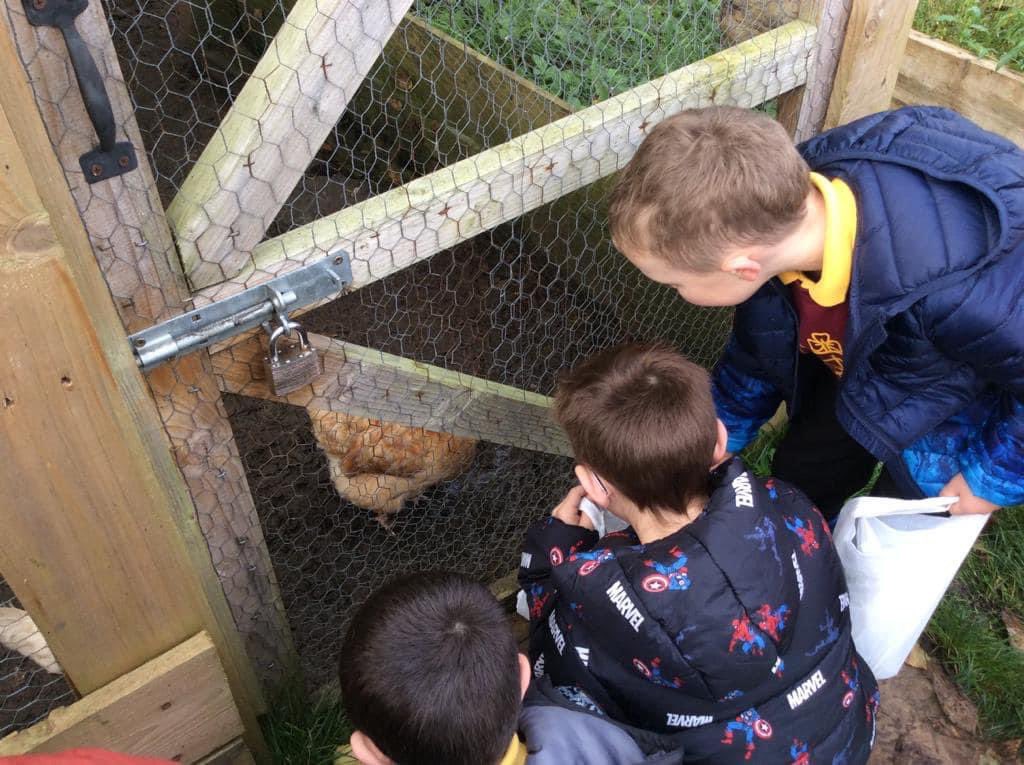 Millburn Primary School tweet media