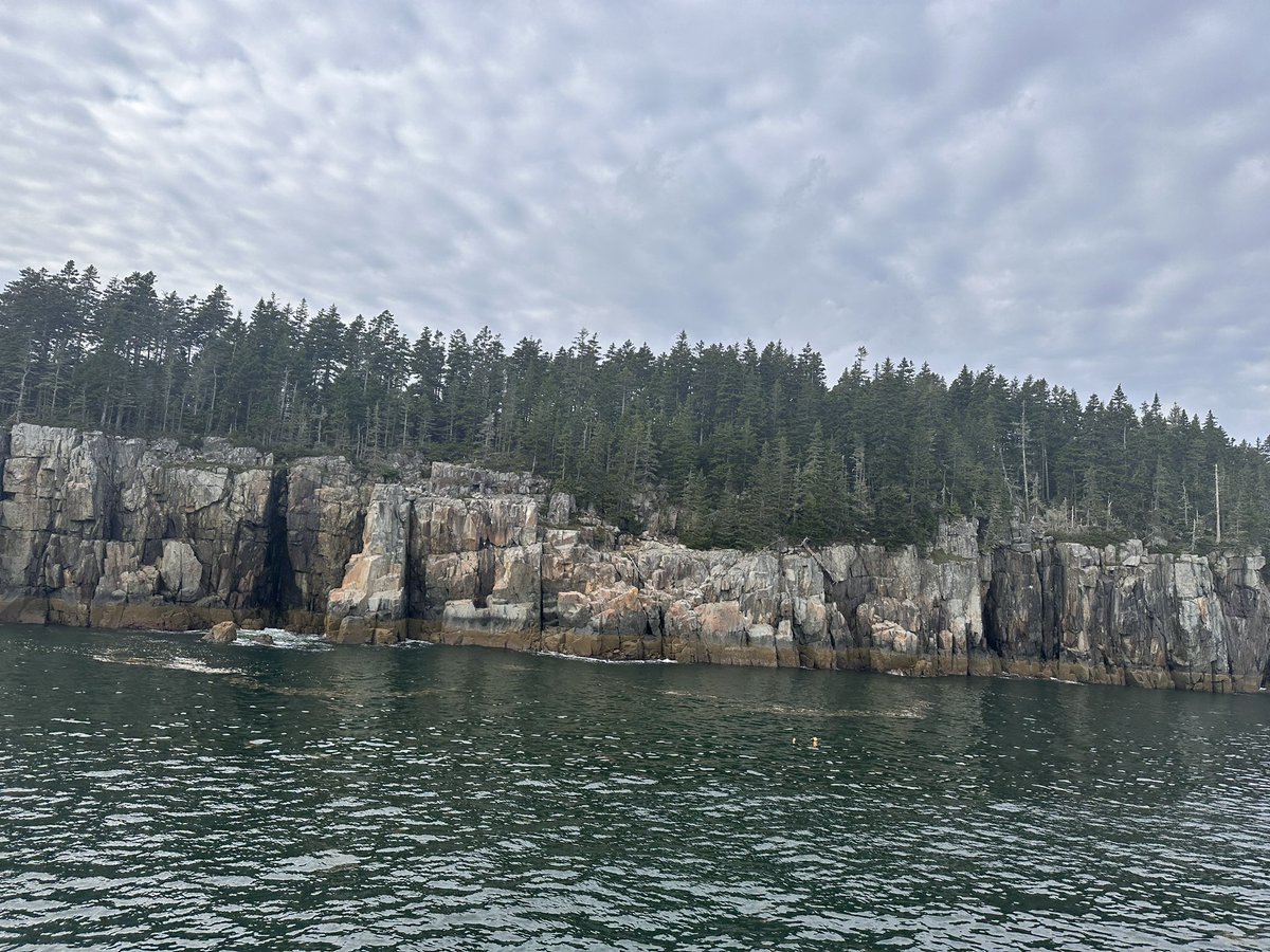 GylesTrevonn's tweet photo. Spent the week at #JAXBehavior learned some cool approaches to Machine Learning & met some even cooler scientists & friends π. Thank you @jacksonlab for having us https://t.co/rp3izSZrL9