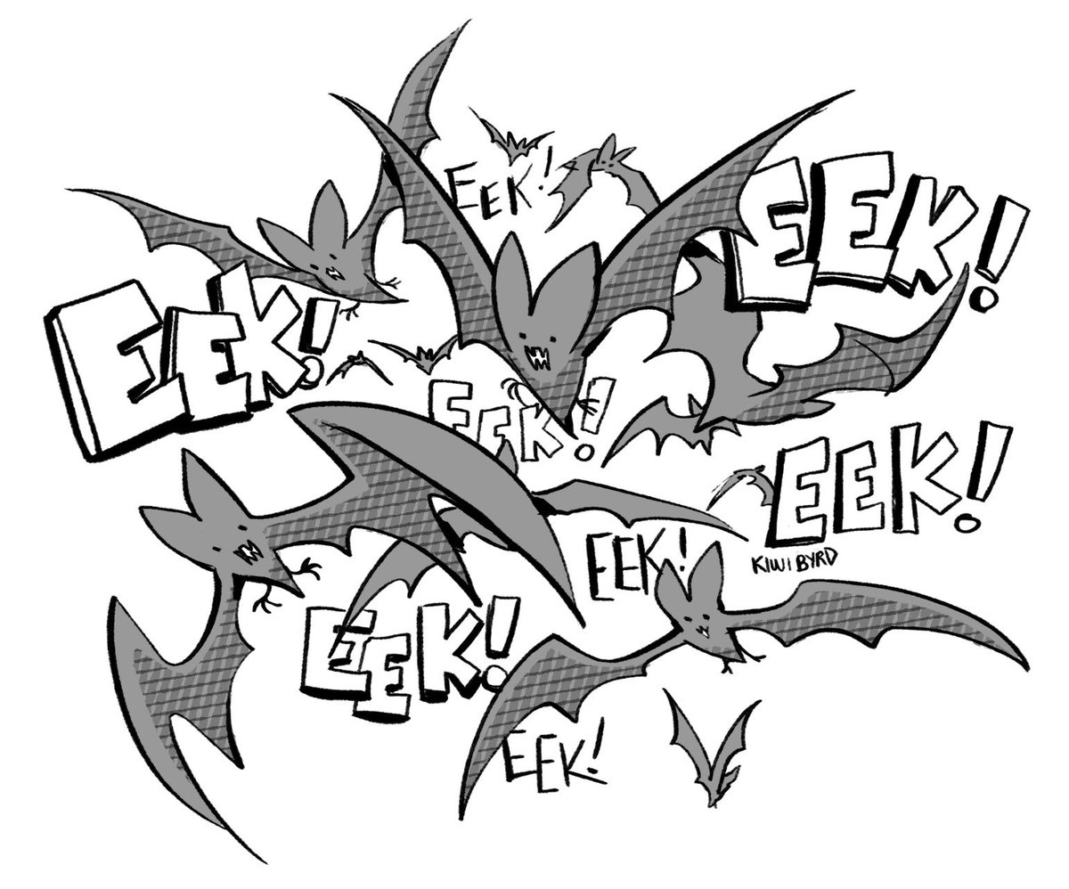 kiwithebyrd's tweet image. EEK EEK BATS