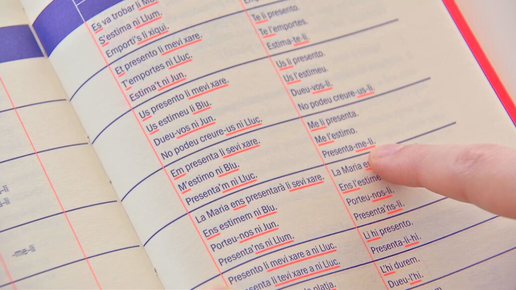 3CatInfo's tweet image. "Ellis, totis, totser": neix la primera guia en català de llenguatge no binari 
ccma.cat/324/ellis-toti…