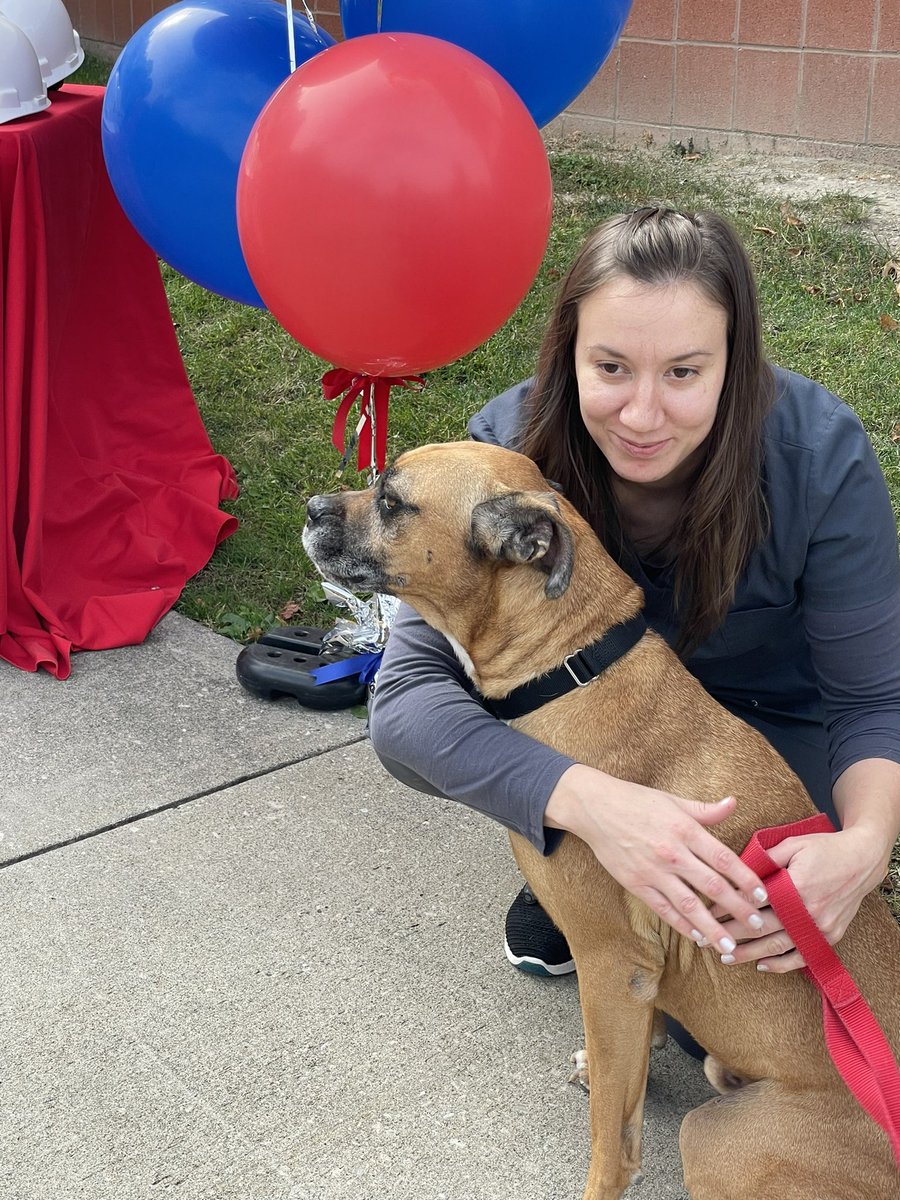 chrisronayne's tweet photo. This is Booberry and Cisco. Their four legged friends 🐕 are getting a new 2,300 sf exercise and visiting center  @ Cuyahoga County Animal Shelter @CuyahogaDogs. Thanks to #TeamCuyahoga for making it happen 🐾 🐾 https://t.co/trXSgT4CZr
