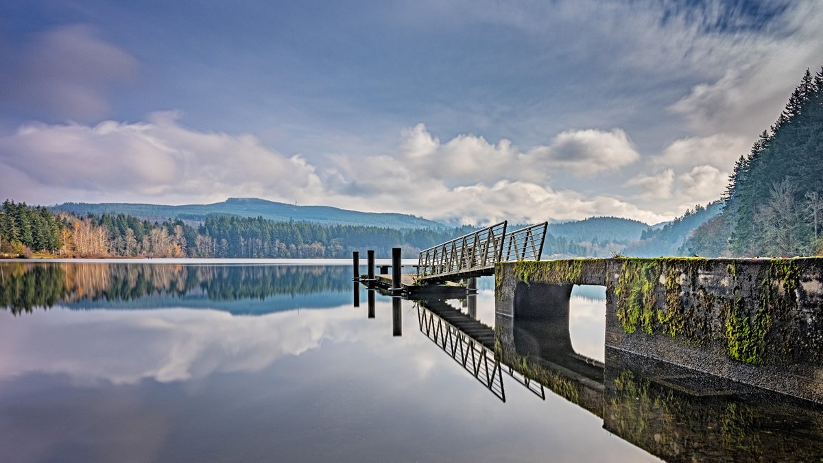 Bellingham Parks & Recreation tweet media