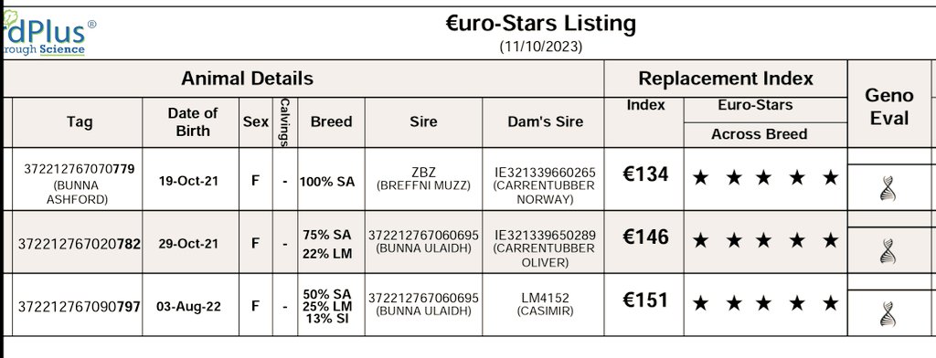 Salers Heifers for Sale
 @ Gort Mart Sat 14th
 Maiden Pedigree Registered &amp; Commercial Super Quality, Docile, High index, Home Bred. #salers