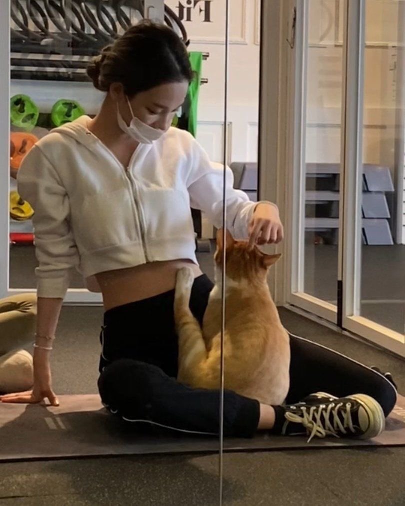 i kinda miss seeing karina and this fat orange cat