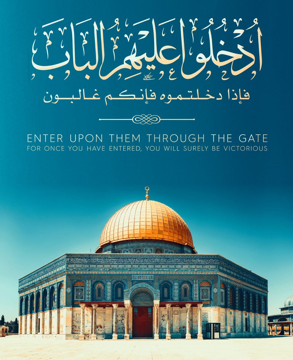 السّرحان tweet media