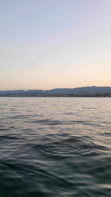 🦢✨🇨🇭 https://t.co/5utft93d6u<a href="/tag/blog"class="tags"><span>#blog</span></a><a href="/tag/art"class="tags"><span>#art</span></a><a href="/tag/painting"class="tags"><span>#painting</span></a><a href="/tag/spirituality"class="tags"><span>#spirituality</span></a><a href="/tag/newblog"class="tags"><span>#newblog</span></a><a href="/tag/lifestory"class="tags"><span>#lifestory</span></a>
