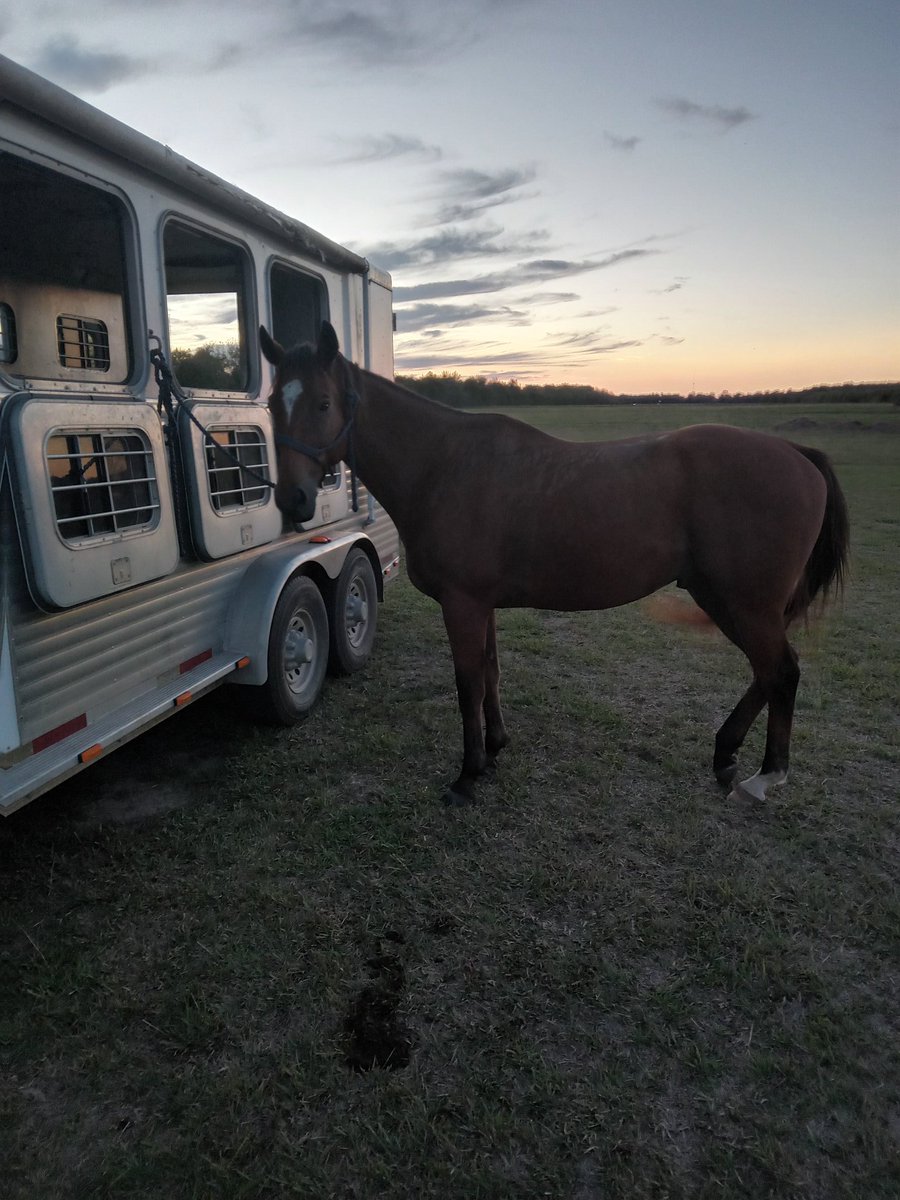 J.C. - Computer Nerd, Gamer, Fantasy Reader tweet media