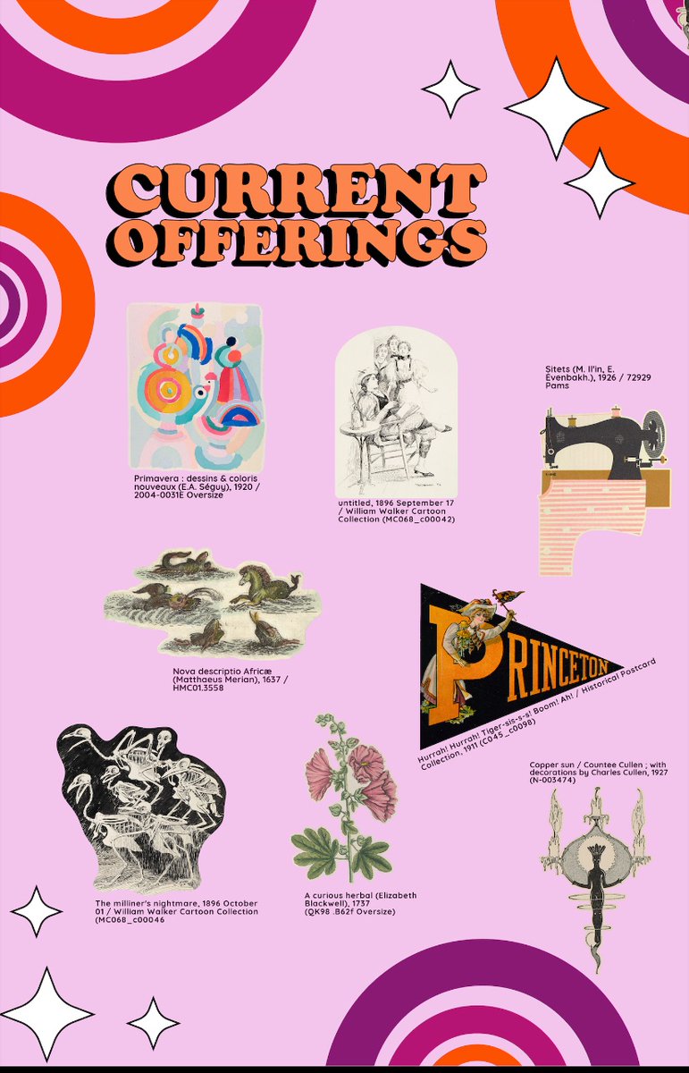 Emma M. Sarconi tweet media