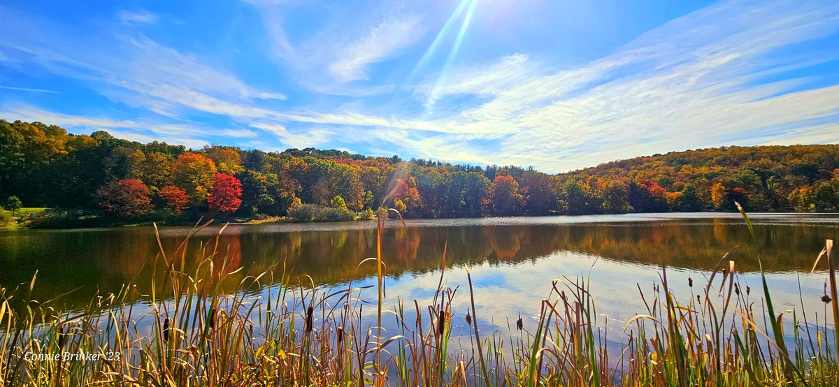 ConnieBrinkerWx's tweet photo. Today's #leafpeepin around Westmoreland Co., PA. Almost peak color! πππ₯ @PAStormTrackerz @Bink323 @NWSPittsburgh @laurelhighlands @accuweather @GirlsWhoChase #pawx #fallcolors #fallfoliage #autumn https://t.co/3rai2KvUHk