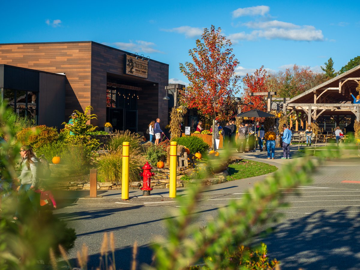 TreeHouseBrewCo's tweet photo. It is a picture-perfect autumn afternoon.

We hope we can enjoy it with you!

https://t.co/QKNmP0A9N6 https://t.co/TfUnLLu2Ro