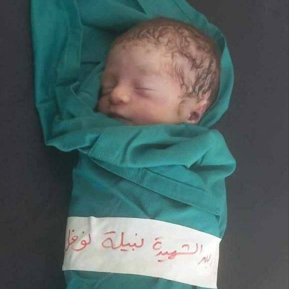 صبرًا صبرًا 💔
لا حول ولا قوة إلا بالله
#غزة_الآن #غزة_تُباد #طوفان_الاقصى
