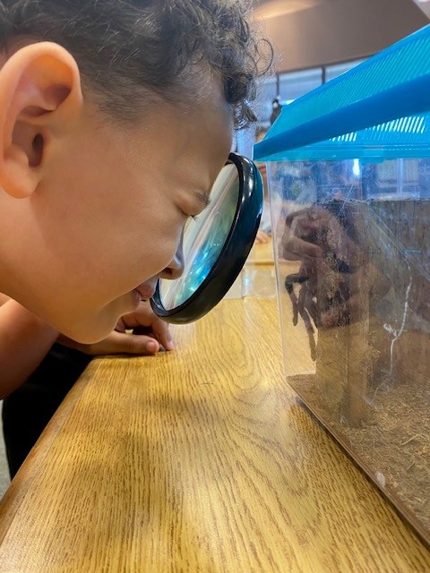 HuebnerLibrary's tweet photo. Second graders enjoyed meeting Edgar Allan Poe today in the library. He is one hairy fellow!
#SchoolLibrariesMatter #neisdlibs #huskiesleadingthepack #RootEdHuebner https://t.co/oOOtVG3jv1