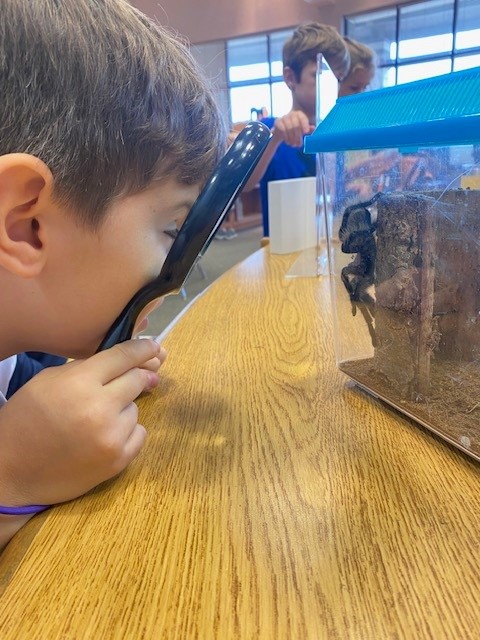 HuebnerLibrary's tweet photo. Second graders enjoyed meeting Edgar Allan Poe today in the library. He is one hairy fellow!
#SchoolLibrariesMatter #neisdlibs #huskiesleadingthepack #RootEdHuebner https://t.co/oOOtVG3jv1