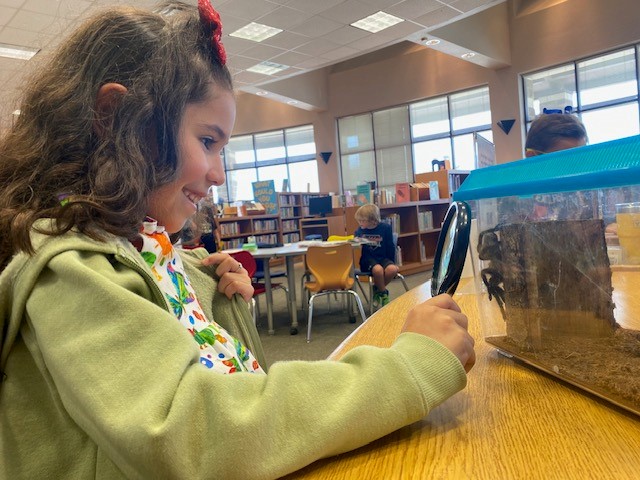 HuebnerLibrary's tweet photo. Second graders enjoyed meeting Edgar Allan Poe today in the library. He is one hairy fellow!
#SchoolLibrariesMatter #neisdlibs #huskiesleadingthepack #RootEdHuebner https://t.co/oOOtVG3jv1