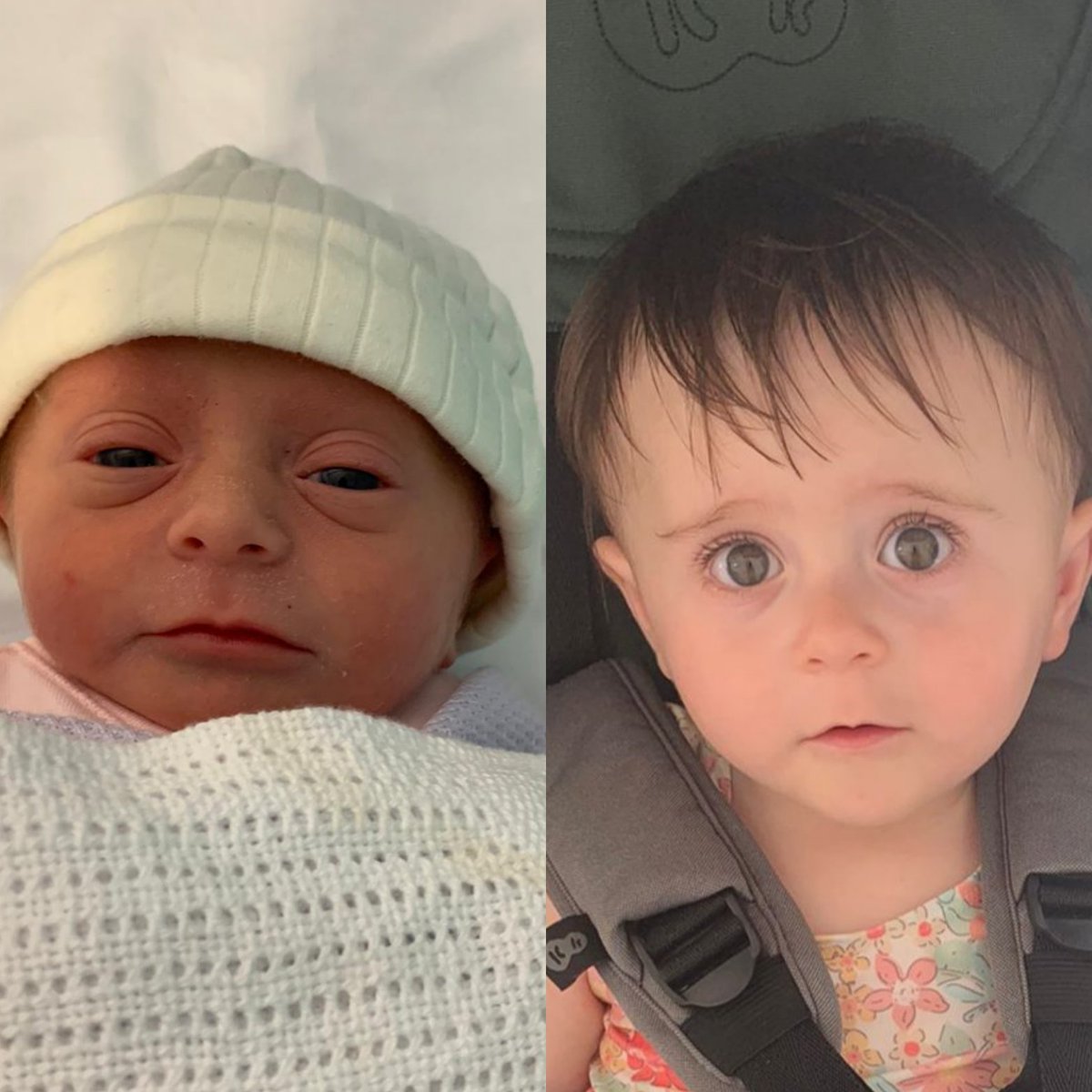 Our beautiful little Paloma. A year older, 6 times heavier and just as perfect.