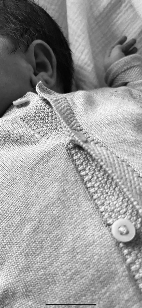 Harry Toffolo tweet media