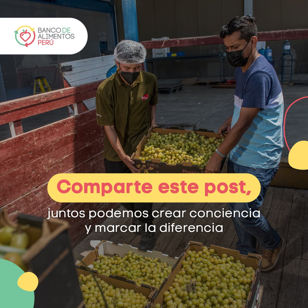 Cada niño merece una infancia saludable.🫶🏻

En el Banco de Alimentos Perú trabajamos incansablemente para proporcionar alimentos nutritivos a las poblaciones en situación de vulnerabilidad.

¡Tu donación marcará la diferencia!💪🏻💚

📱Yapea al 960302185