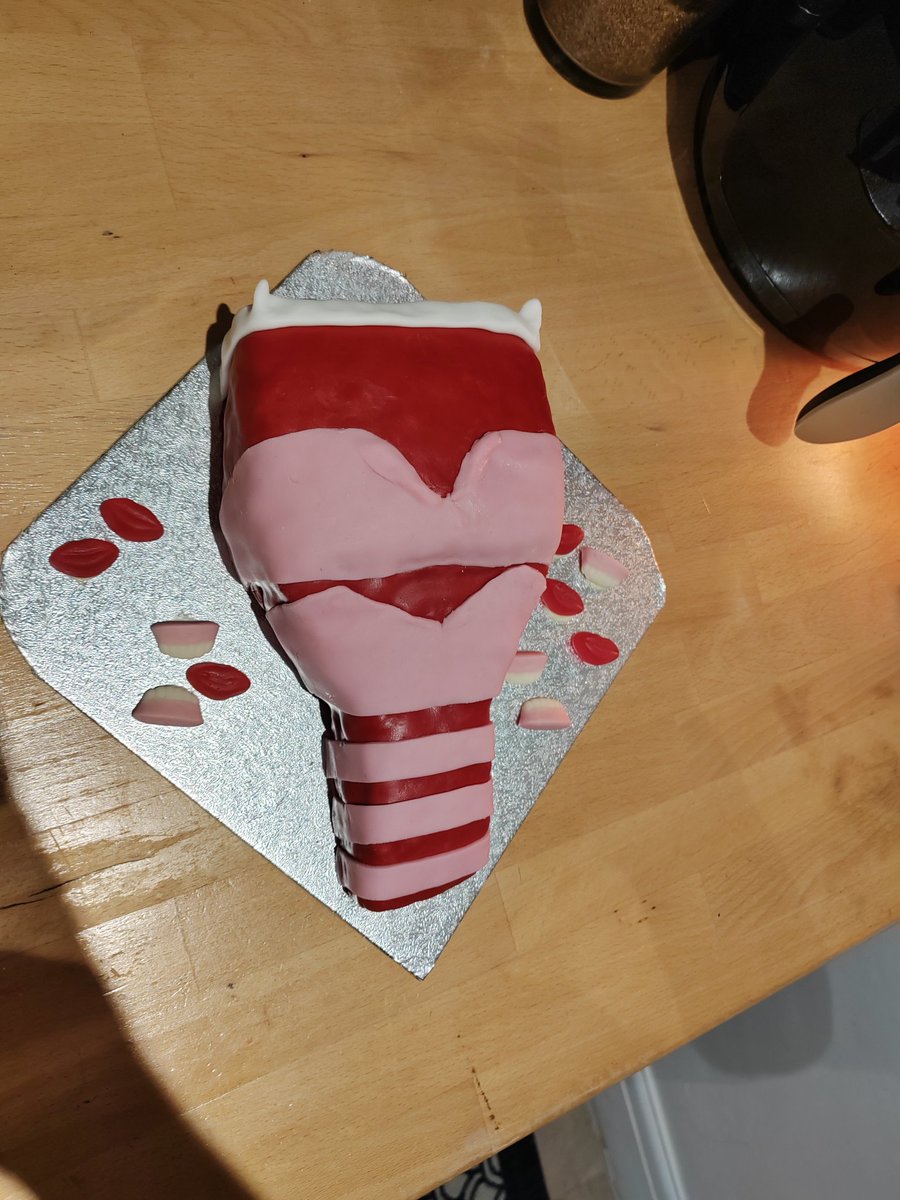 VP Speechie tweet media