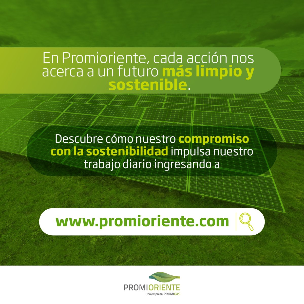 promioriente's tweet photo. Promioriente es energía en movimiento. Nuestra infraestructura de gasoductos respalda un futuro energético confiable y sostenible.
Descubre cómo lo hacemos en https://t.co/ZWRlzrxCjH
#Promioriente #EmpresaPromigas #Sostenibilidad https://t.co/xsV7j5RkGi