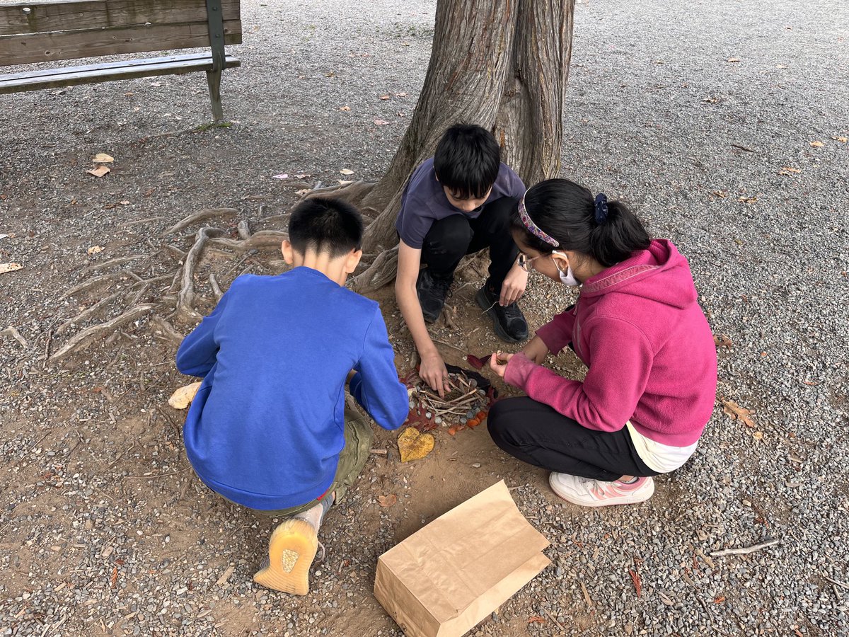 <a href="/ermalearns/">Erma Stephenson Elem</a> Div 1 &amp; 2 creating nature art in the style of ⁦<a href="/andygoldsworthy/">Andy</a>⁩. Cooperation, creativity and fun all in one! #sd36learn