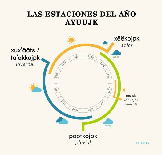 Colmixe's tweet photo. Las estaciones del año #ayuujk 
El  sistema escolarizado nos enseña una visión del mundo que no siempre  corresponde con la realidad de los pueblos indígenas. En la Región Mixe y  otras zonas del sur de México, el esquema de cuatro estaciones  climáticas no funciona... https://t.co/q9Fo06M89G