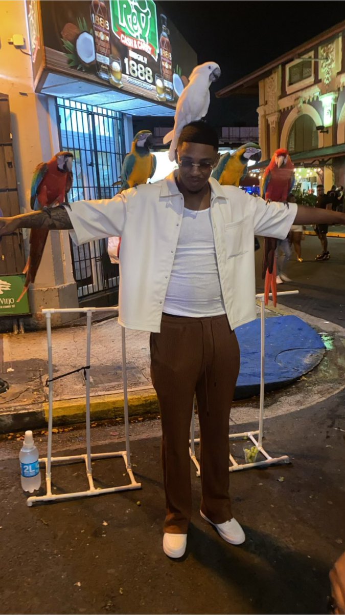 Dee Anderson🦍 tweet media