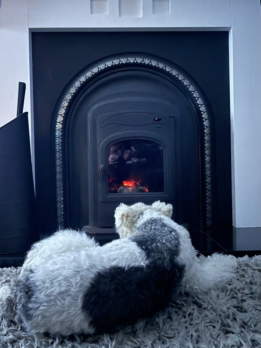 It’s that time of the year again. I do love a fire 🫠