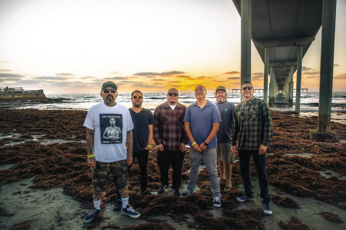 DC Reggae tweet media