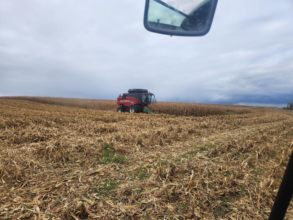 philip_buhler's tweet photo. Corn harvest under way. Decent for the year we have had. #harvest23 #graincorn https://t.co/SiTBMFwm6Z