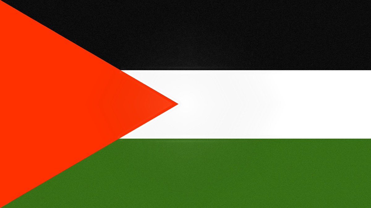 Sean 🇵🇸 tweet media