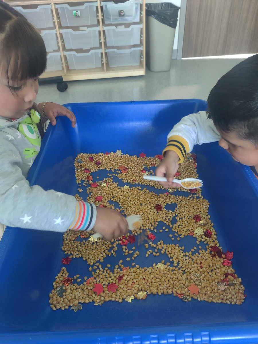 mscruzprekbil's tweet photo. Fall is in the air and that means we have to bring out the pumpkin patch!! The kids had a blast washing and buying pumpkins this week! ππ°ππ Stay tuned to see what season comes next πβοΈ #fallcenters #letters #numbers #prek #seasons @HumbleISD_LLE @HumbleISD_PREK @HumbleISD https://t.co/xatg6U1cou