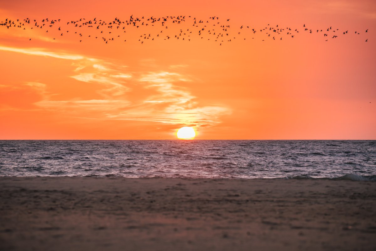 Ocean City, Maryland tweet media