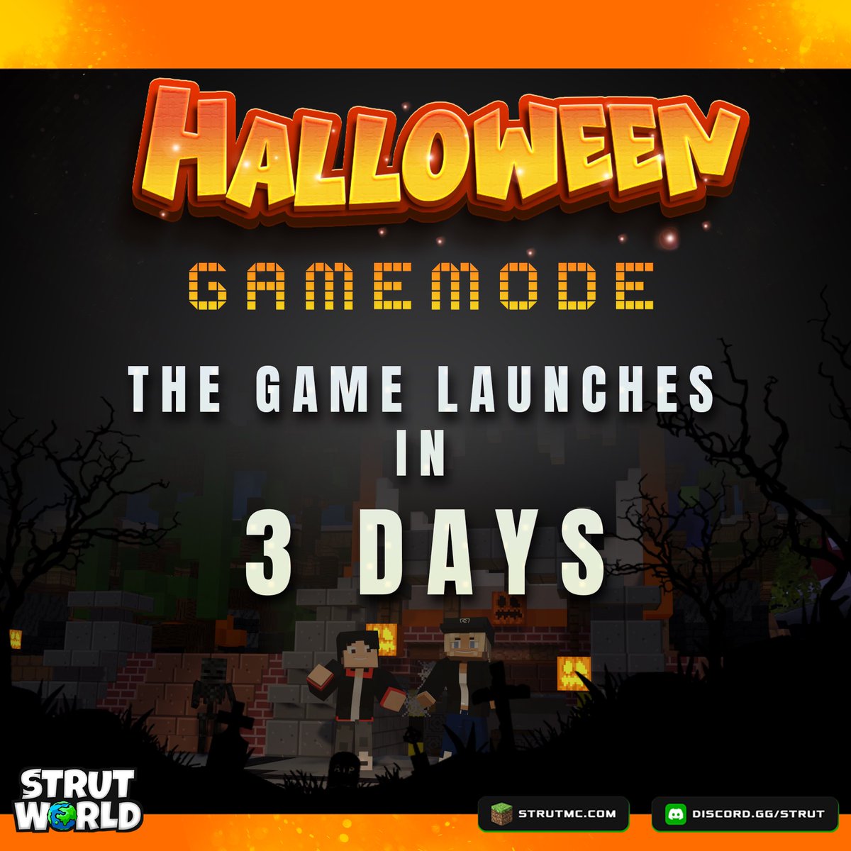 STRUT WORLD tweet media