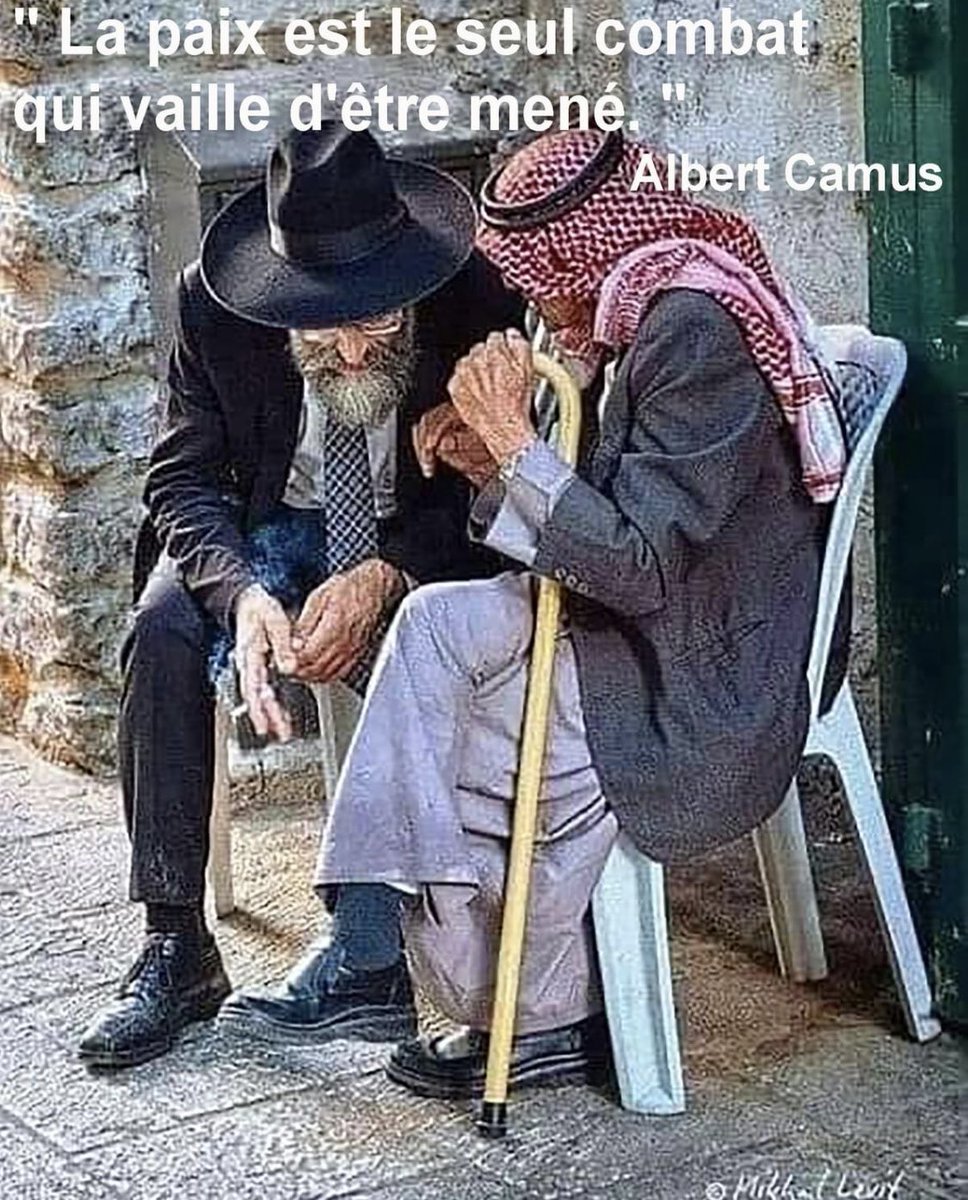 Bruno Bernard (@brunobe14820848) on Twitter photo 