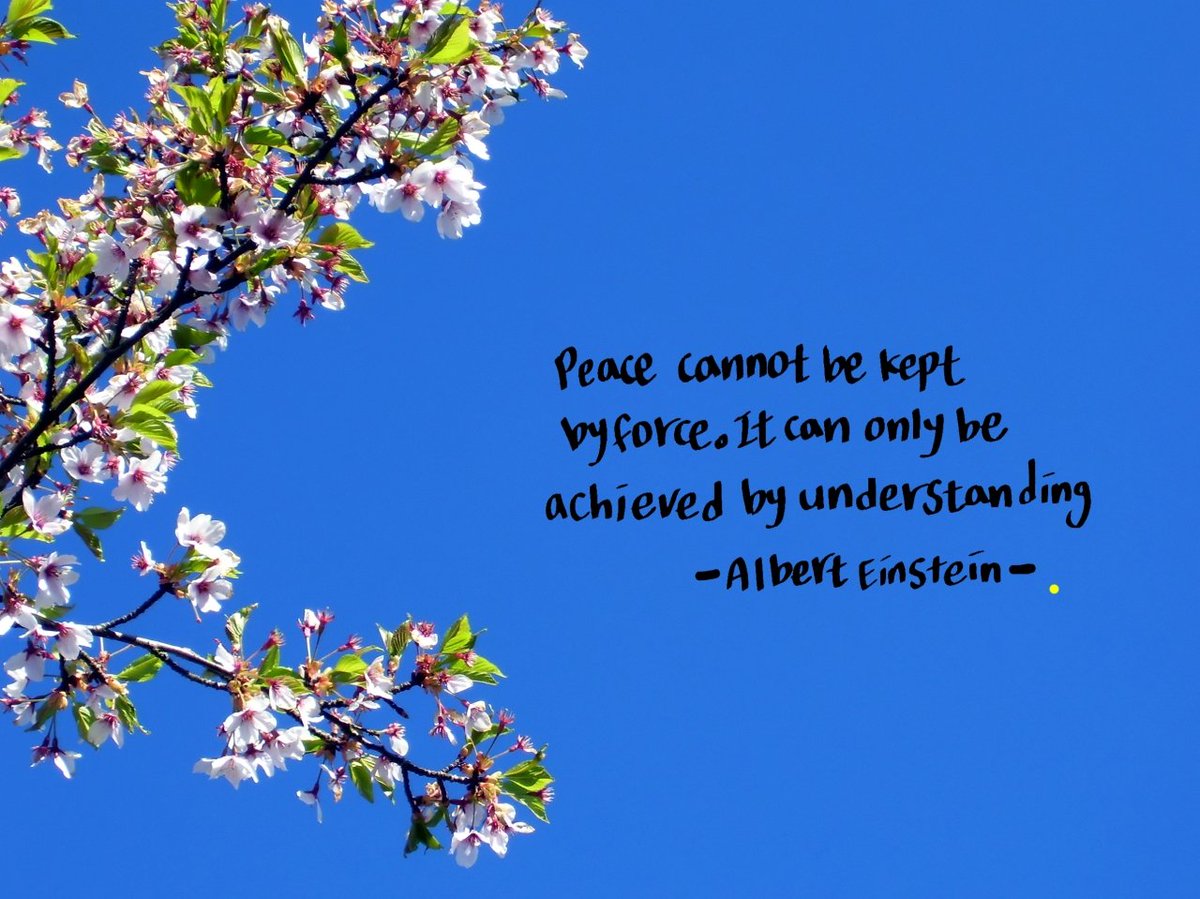 #PeacePlease  youtu.be/D4k-ze1IZVM?si…