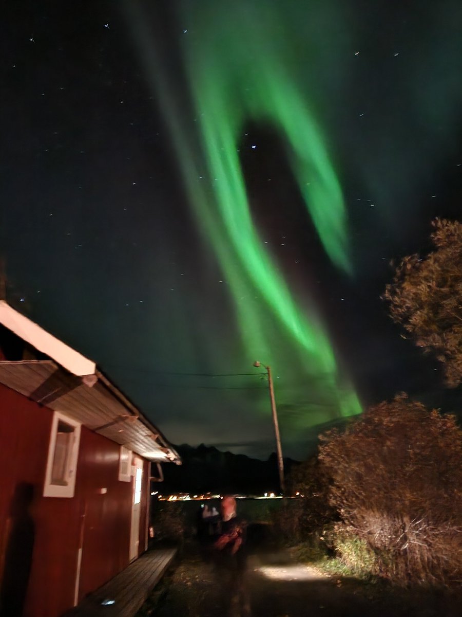 CamilleJgr's tweet photo. plus d'une heure que les aurores boréales dansent au dessus de nos têtes, elles sont si brillantes ce soir, j'ai tellement de chance https://t.co/SjOndeHUuL