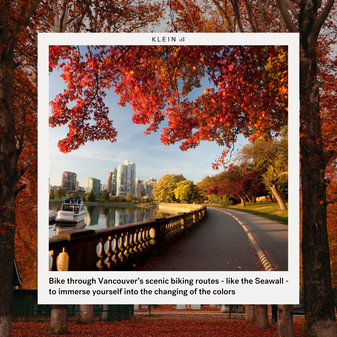 kleingroup's tweet photo. Happy Fall from Klein Group! 🍂 As the leaves turn and the breeze gets crisp, we encourage everyone to take a moment from the hustle, and revel in the serene autumn beauty Vancouver offers.

#Fall #VnacouverFall #AutumnInVancouver #VancouverActivities #SeaWall https://t.co/Q8drduWiA6
