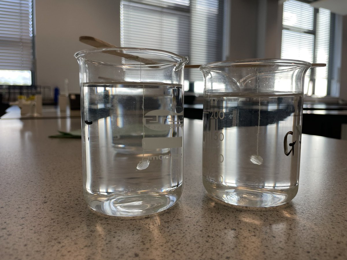 nieperscience's tweet photo. Look how much they have grown!! https://t.co/hMZpn7O7Ew