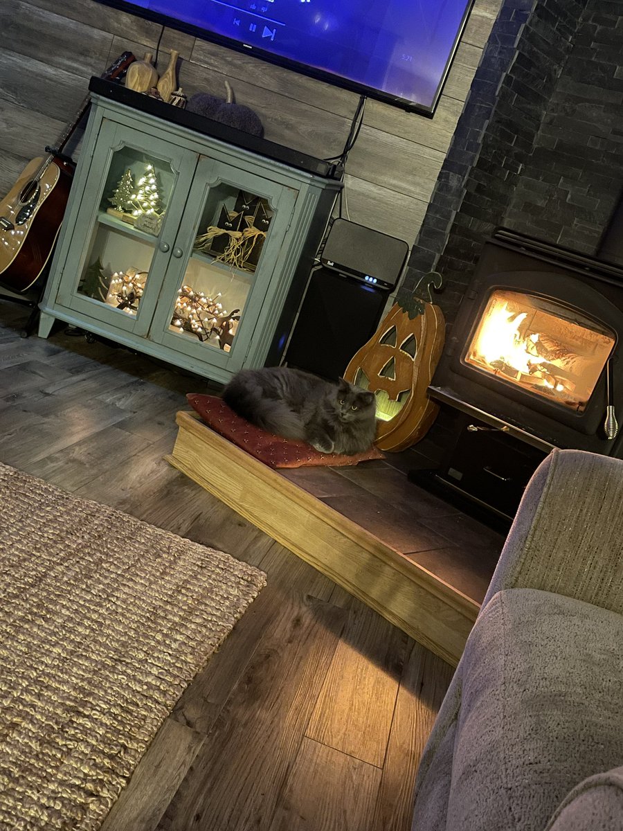 To be a cat in this house…it’s a good gig if you can get it 🐈‍⬛