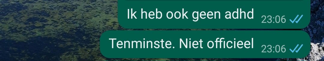 Liesbeth (@liesbirdsong) on Twitter photo 