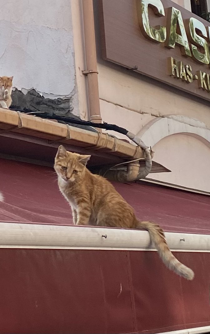 hayat bazen böyledir