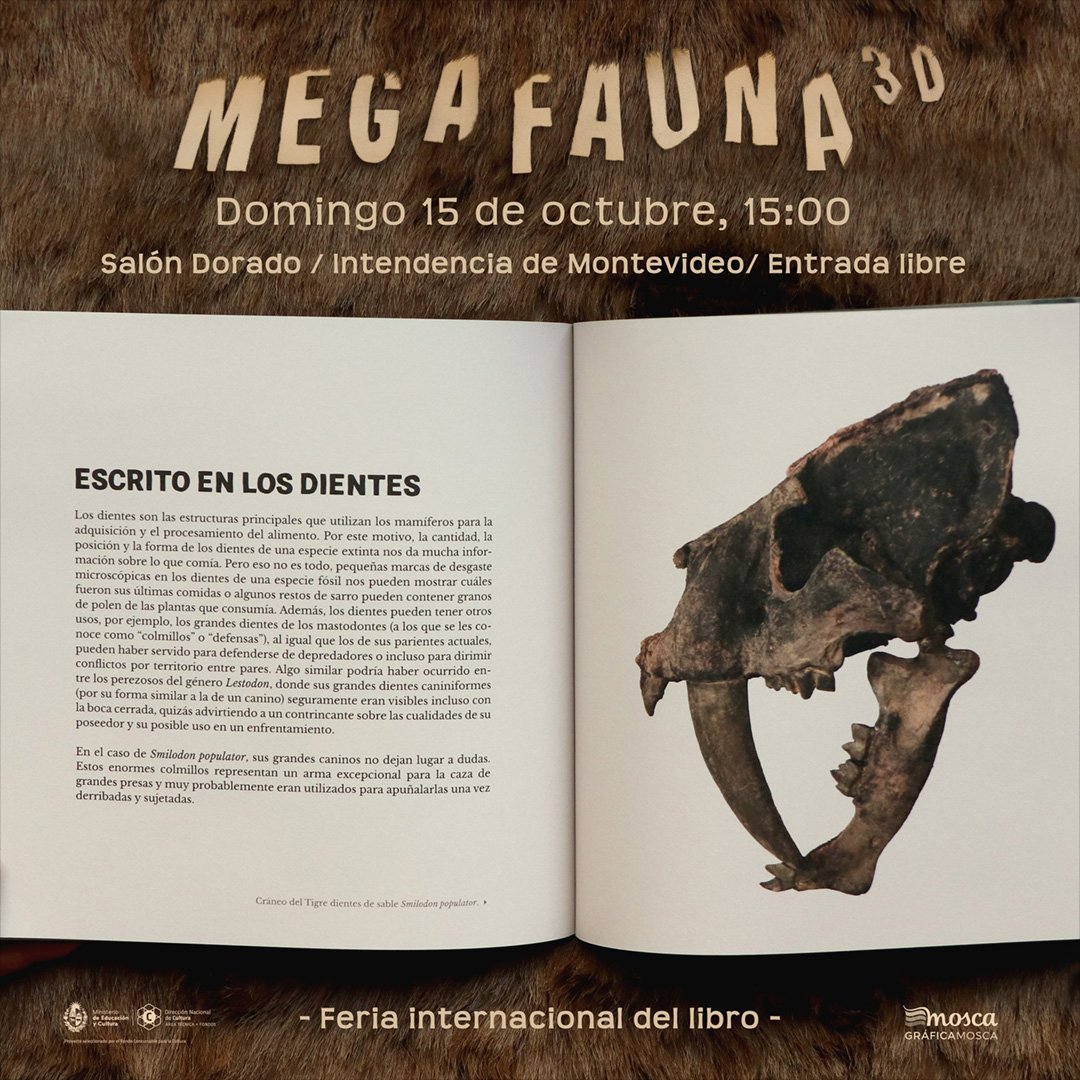 ¡Presentamos Megafauna 3D, un libro de huesos en la Feria Internacional del Libro!
Realidad aumentada, fósiles para mirar de cerca y charla con paleontólogos.
15 de octubre, 15 hs.
Salón Dorado de la Intendencia de Montevideo
Entrada libre

*Disponible en librerías y en la feria*